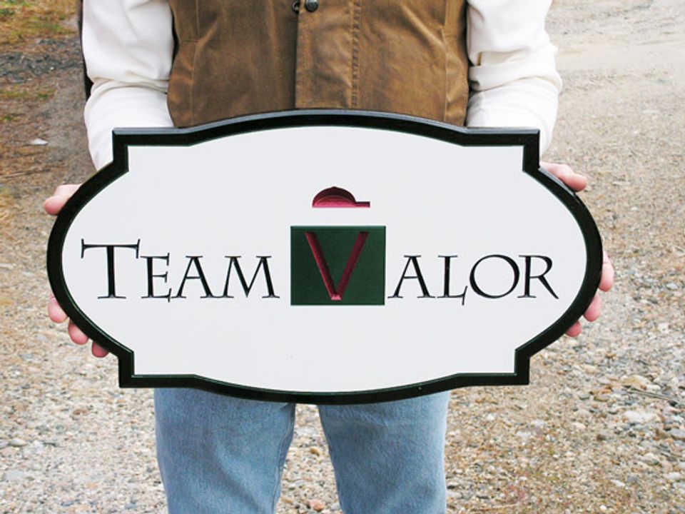 Team Valor