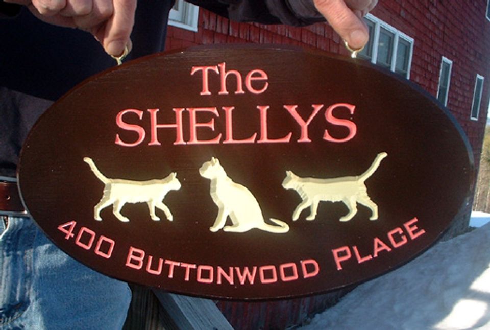 Shelly