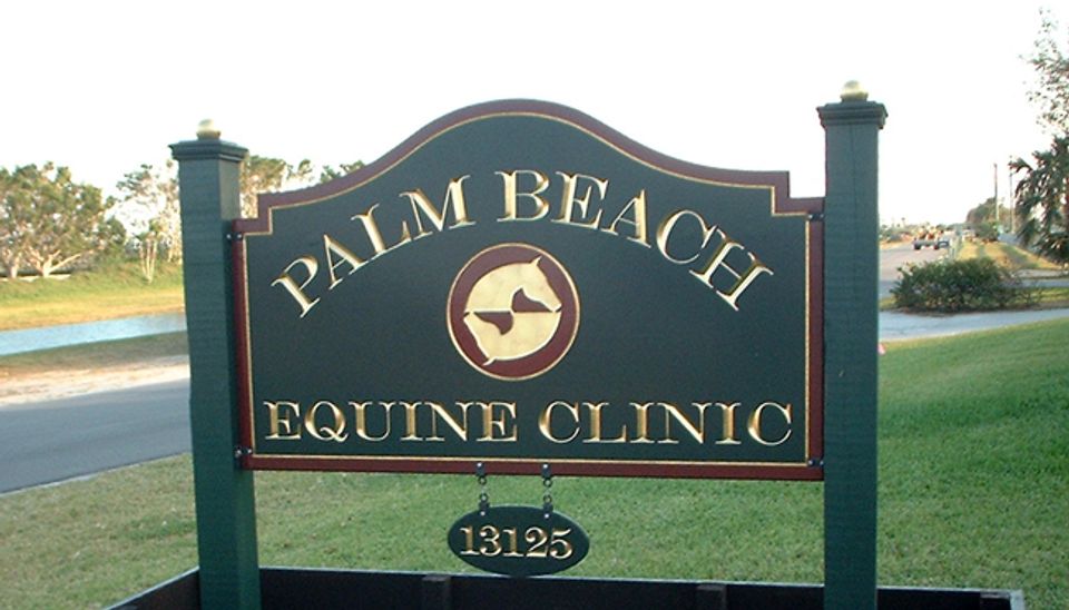 PB Equine