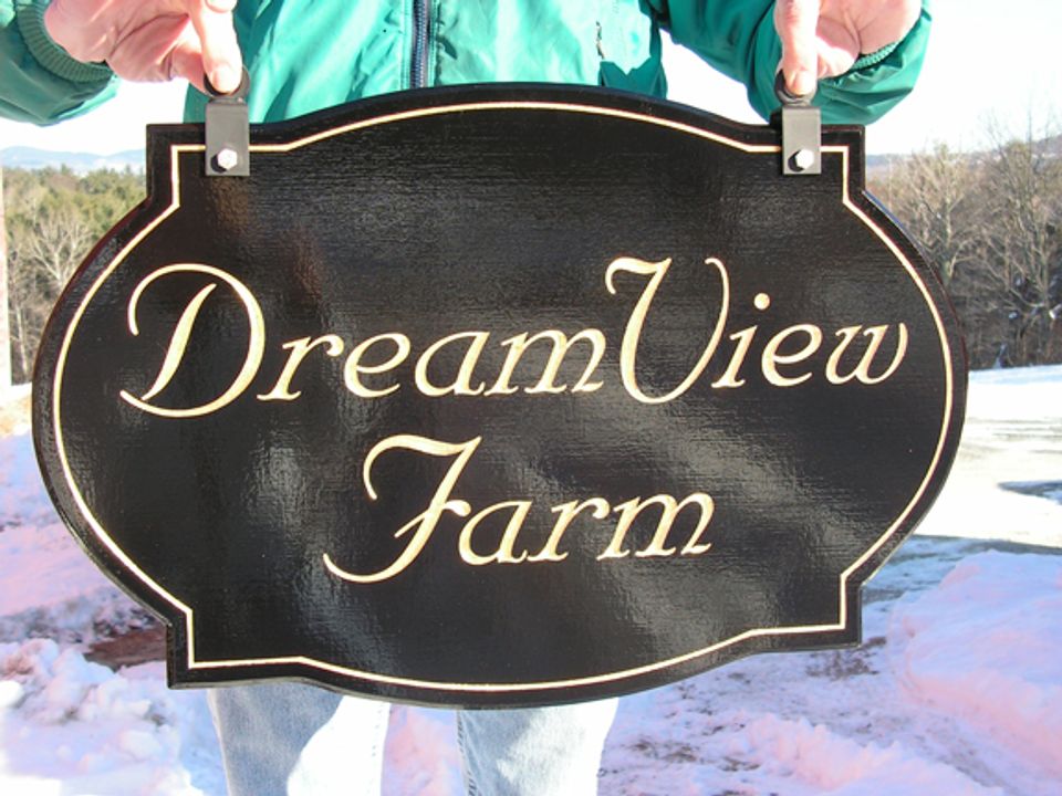 Dreamview