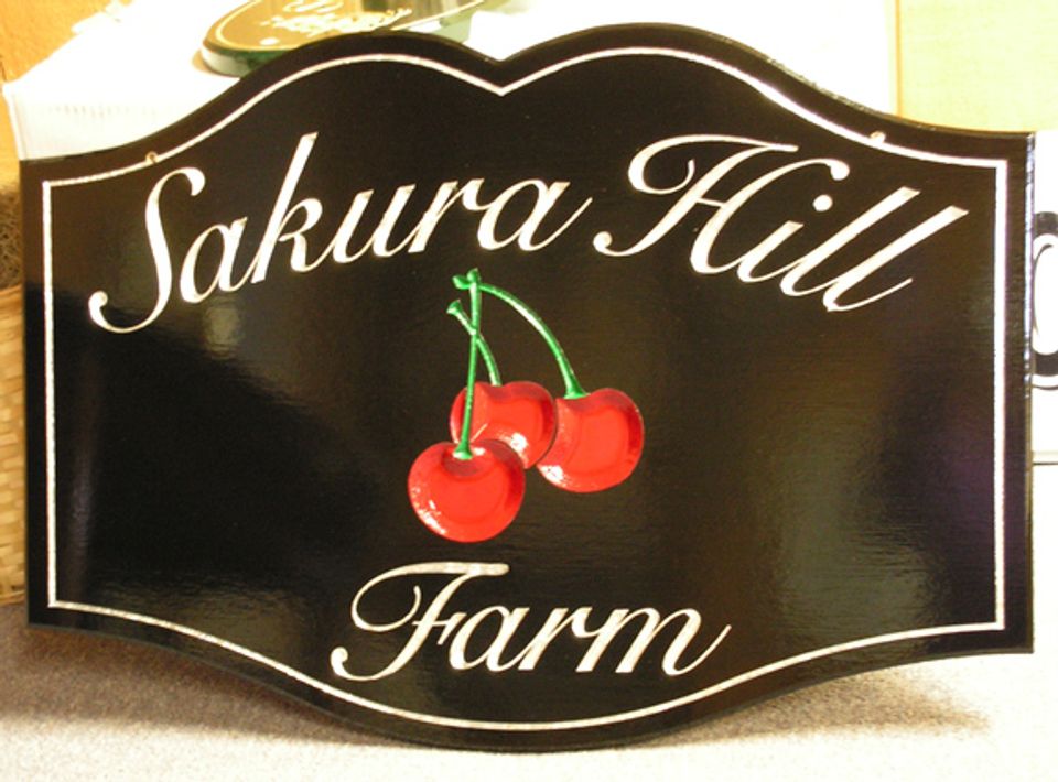 Sakura Hill
