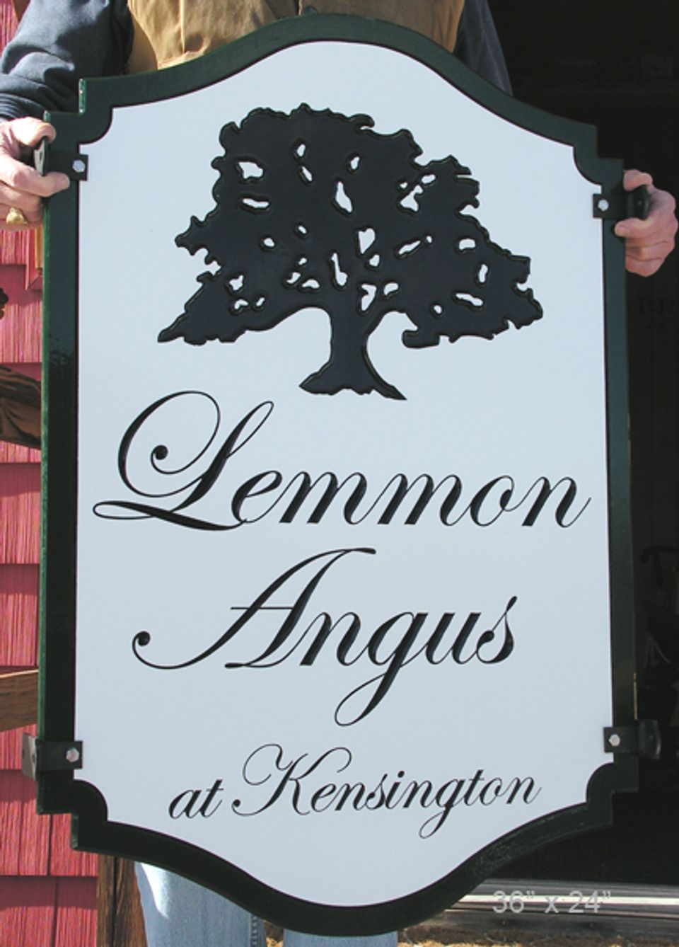 lemmonAngus