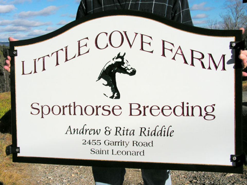Little Cove