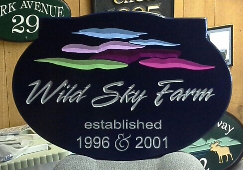 wild sky