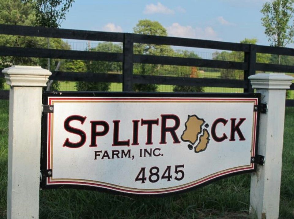 Split rock
