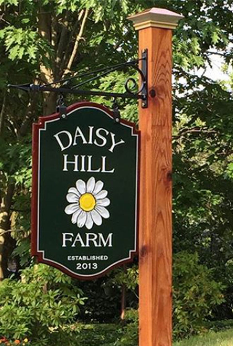 Daisy Hill