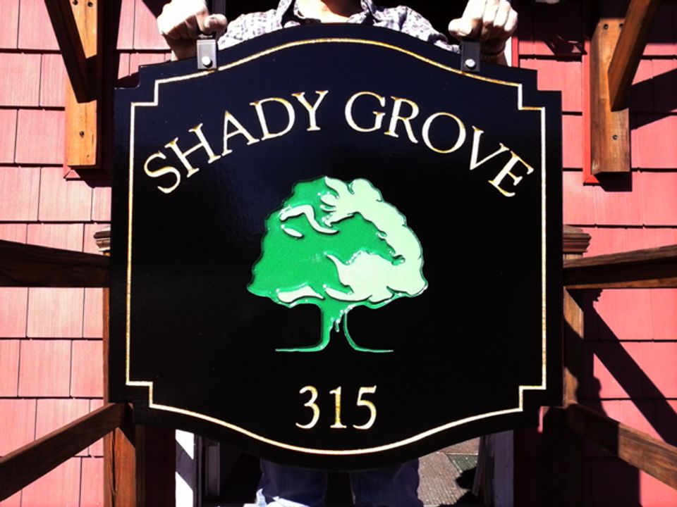 Shady Oak