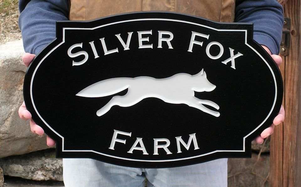 silver fox