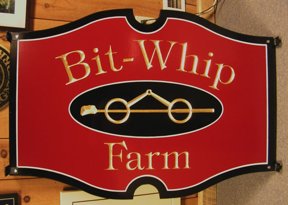 Bit-Whip