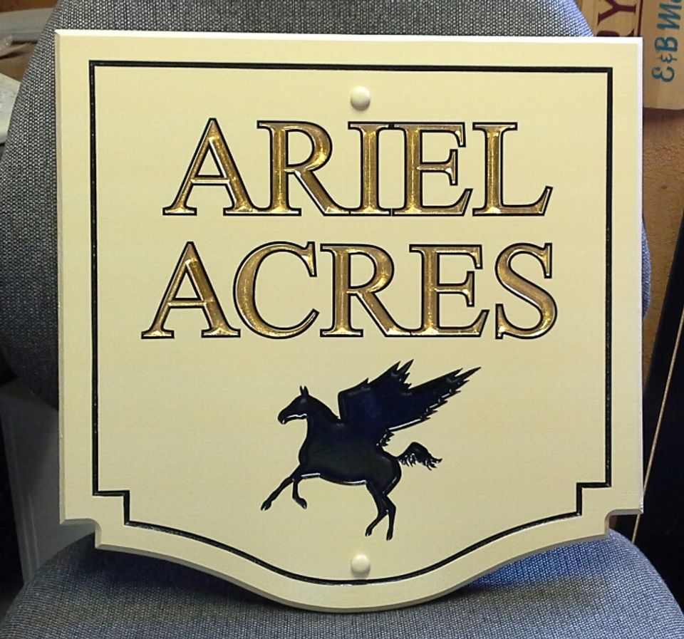 ariel