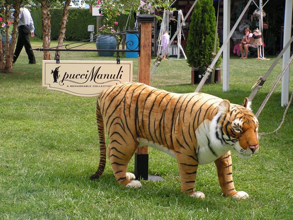 pucciManuli