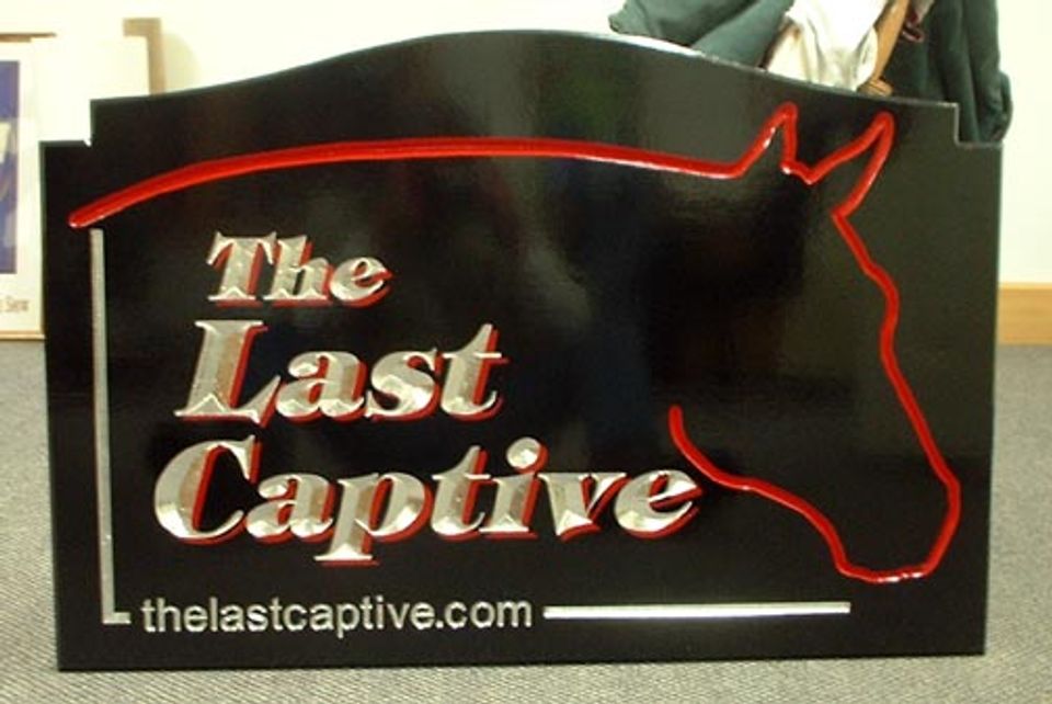 Last Captive