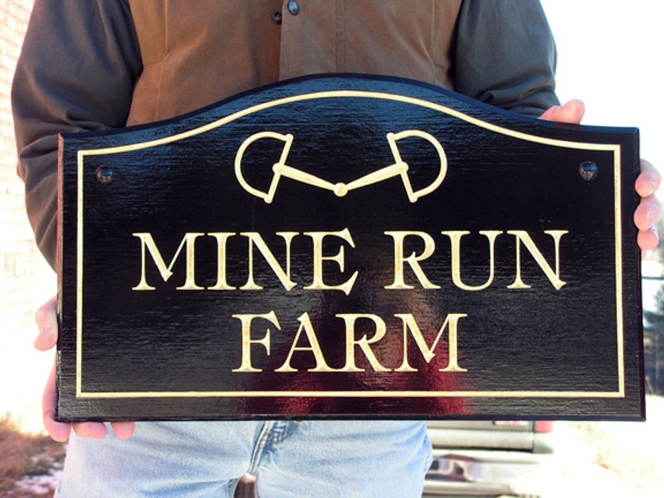 Mine Run