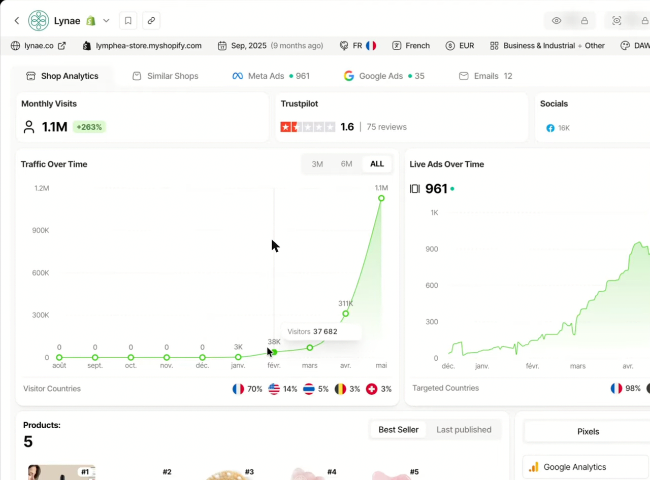 Page d’analyse d’une boutique dans Trendtrack : visites mensuelles, note Trustpilot, courbe de trafic et nombre de publicités actives