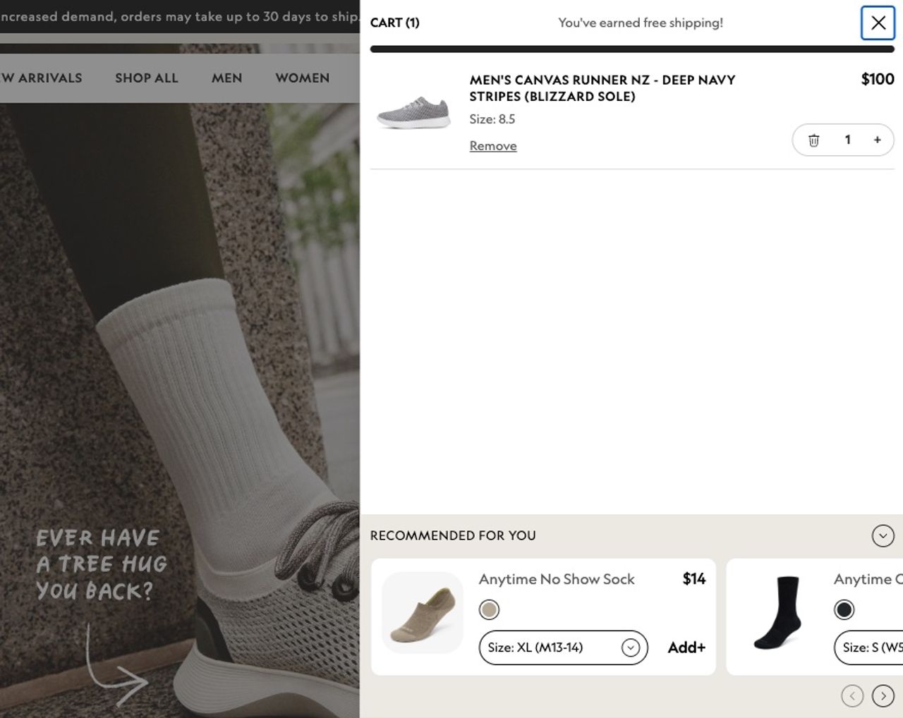 Tiroir panier Allbirds après l'ajout des Men's Canvas Runner NZ à 100 $ : une rangée « Recommended for you » affiche des chaussettes Anytime No Show à 14 $ avec sélecteur de taille et bouton Add