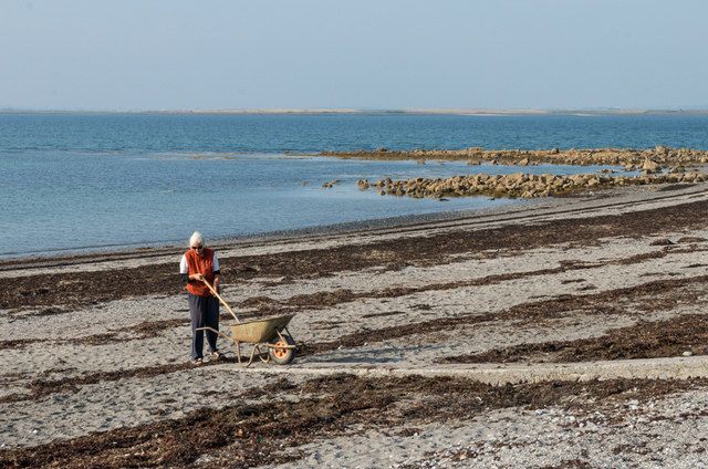 Canadians Eye Irish Coast: Fight Over Seaweed Rights Threatens Livelihoods