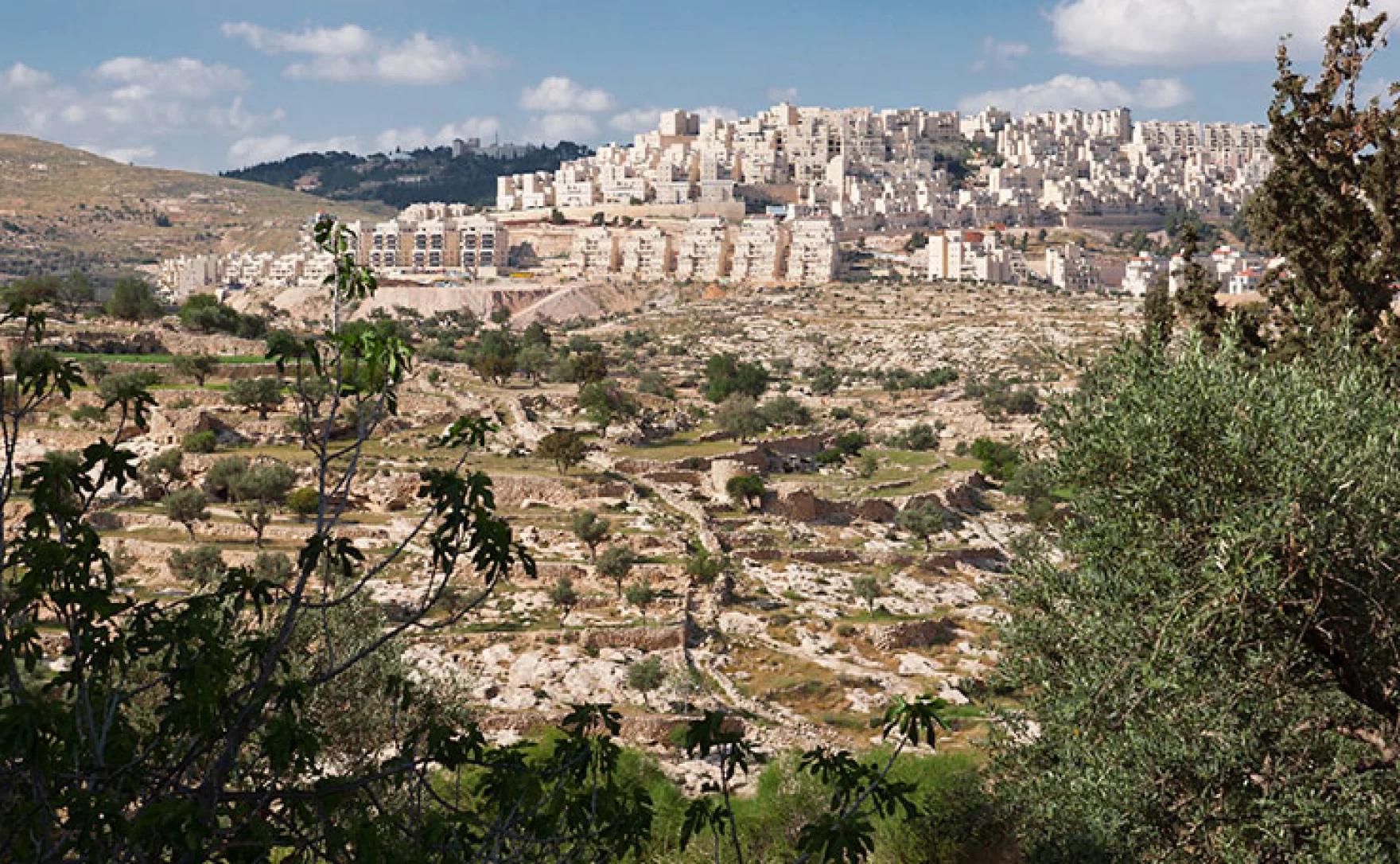Beyond Boycotts: Can Ethical Tourism Reclaim Palestine?