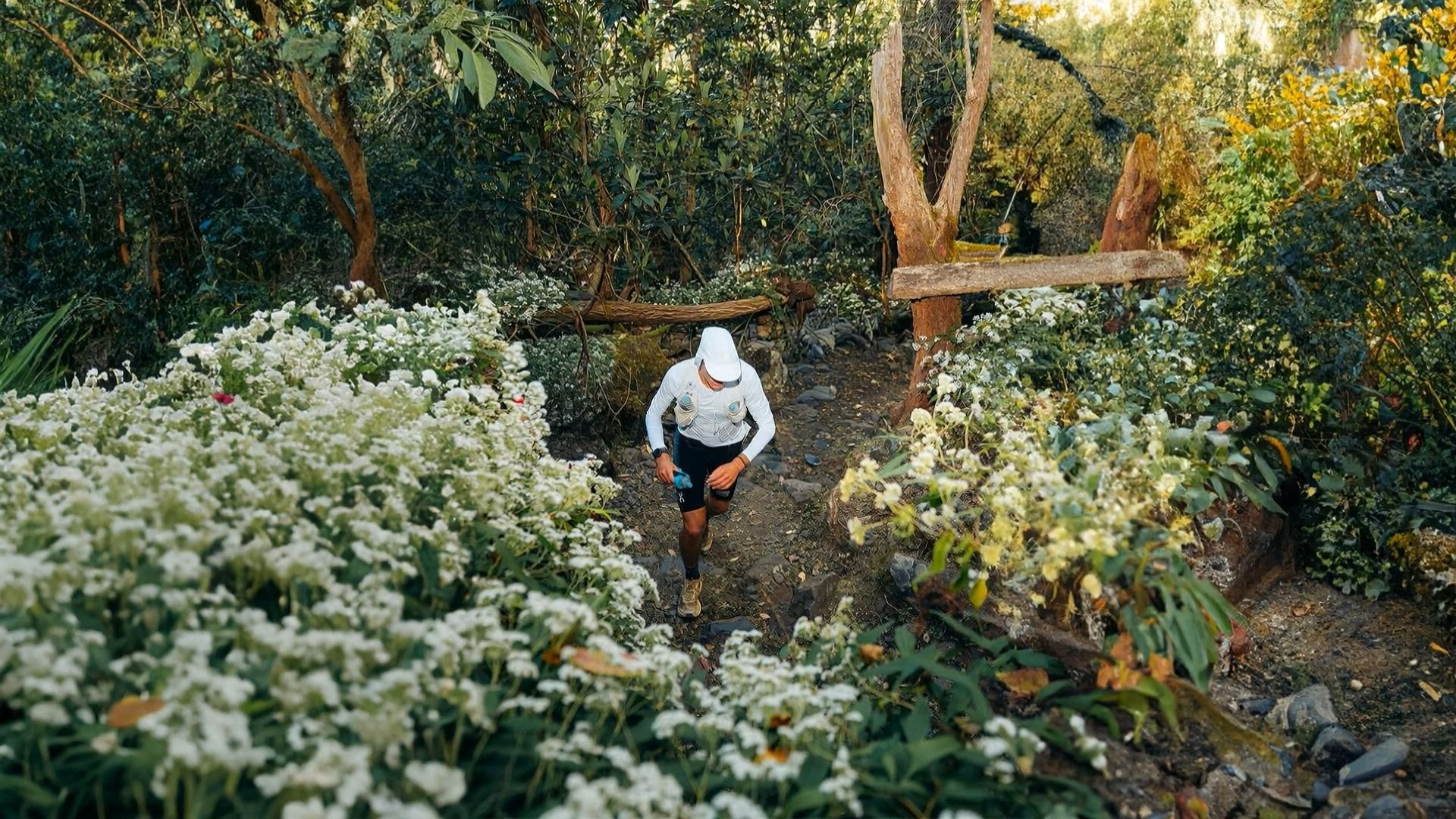 DIAGONALE DES FOUS 2025