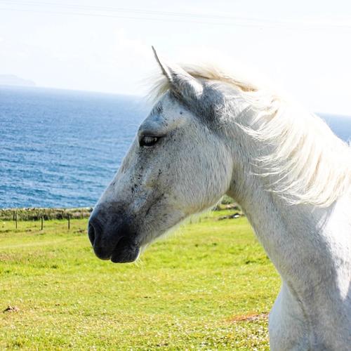 Christ the Fulfillment of the Law