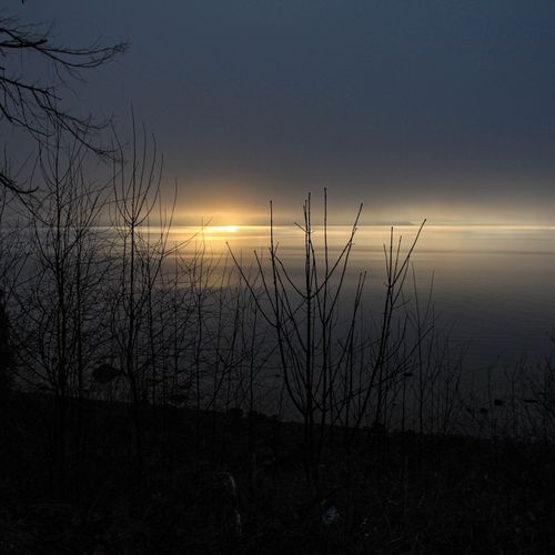 Those Who Are Wise Shall Understand