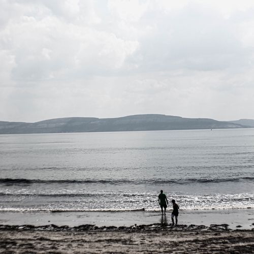 Biblical Simplicity Reestablished 