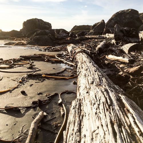 You Discard Like Dross