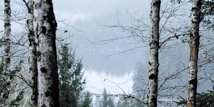 True Glory vs False Glory