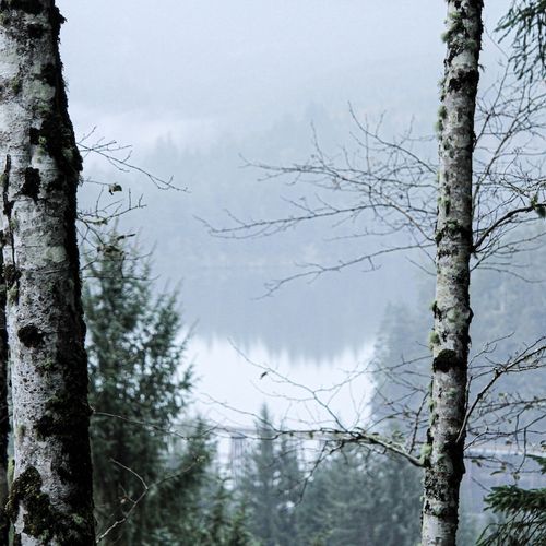 True Glory vs False Glory