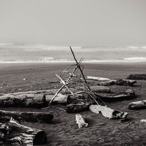 The World Is Perishing