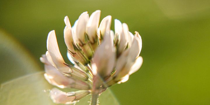 The Just Seek His Soul