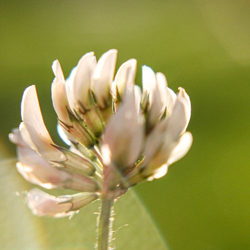 The Just Seek His Soul