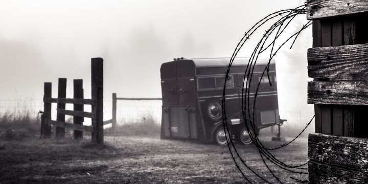 The Evil of Pitying Sin