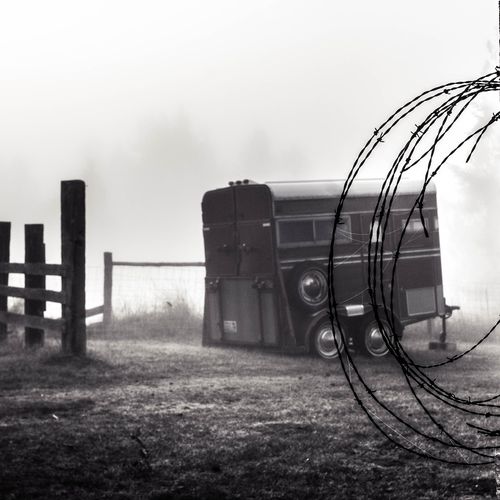 The Evil of Pitying Sin