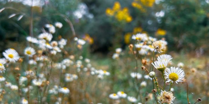 Did Jesus Condemn Righteousness or Self-Righteousness?