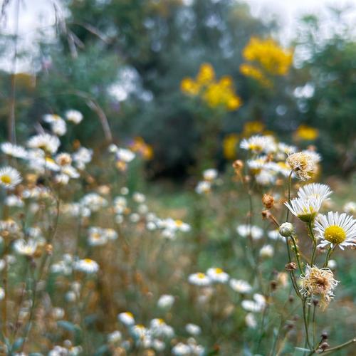 Did Jesus Condemn Righteousness or Self-Righteousness?