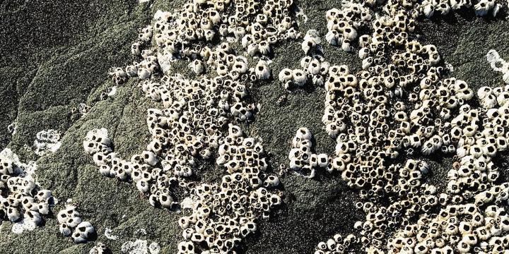 Biblical Complexity Reestablished