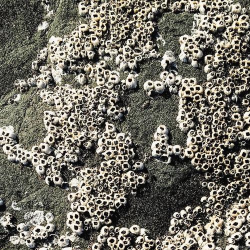 Biblical Complexity Reestablished