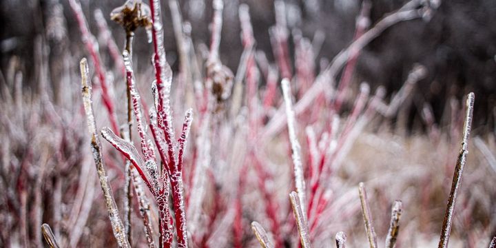 Should You Love Those Who Hate the LORD?