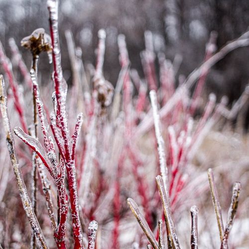 Should You Love Those Who Hate the LORD?