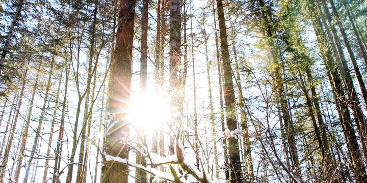 God’s Purpose in a Believer’s Suffering