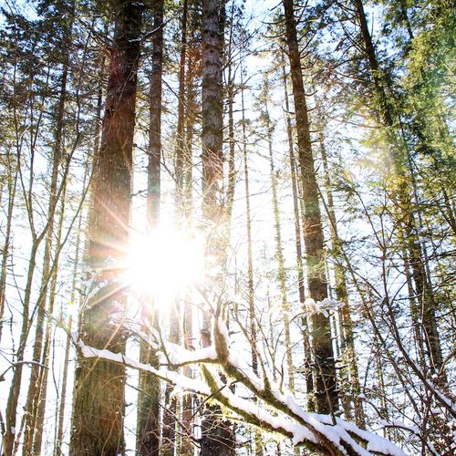 God’s Purpose in a Believer’s Suffering