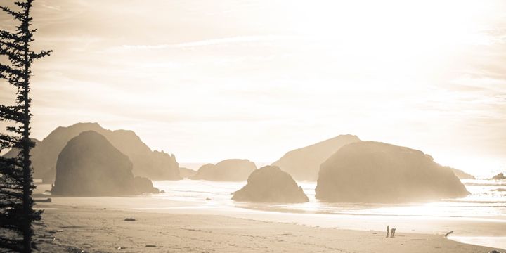 The Difference Between Fame and Glory