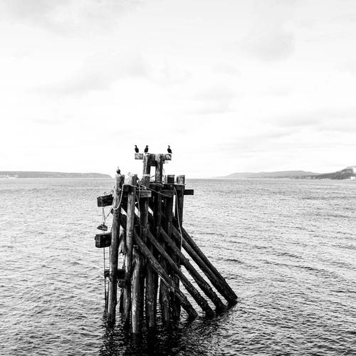 Provoking Others to Sin