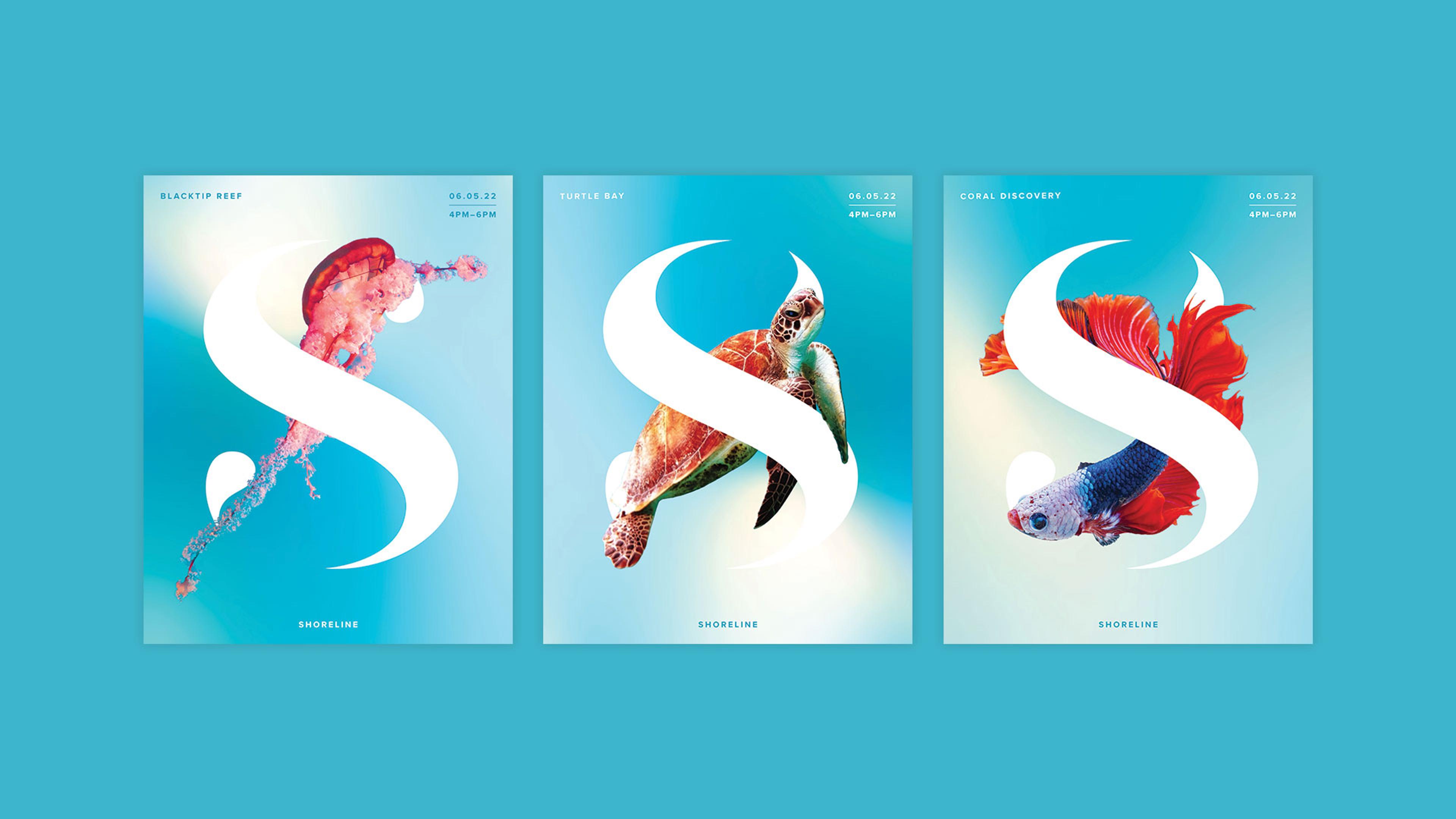 Three ShoreLine posters with a jellyfish, turtle and an angel fish intertwined with the 'S' logo