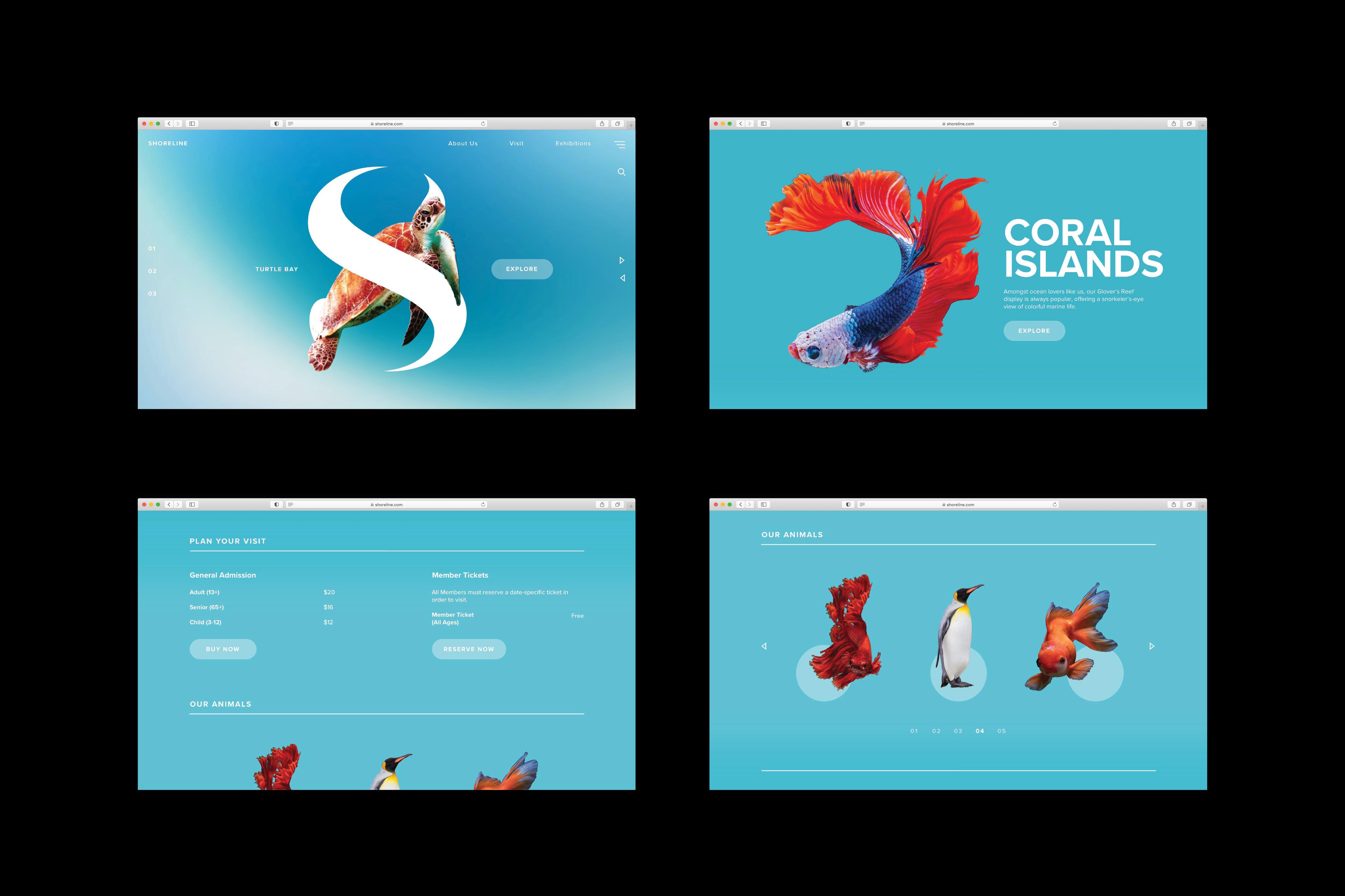 Select stills from the ShoreLine website displaying the different sections