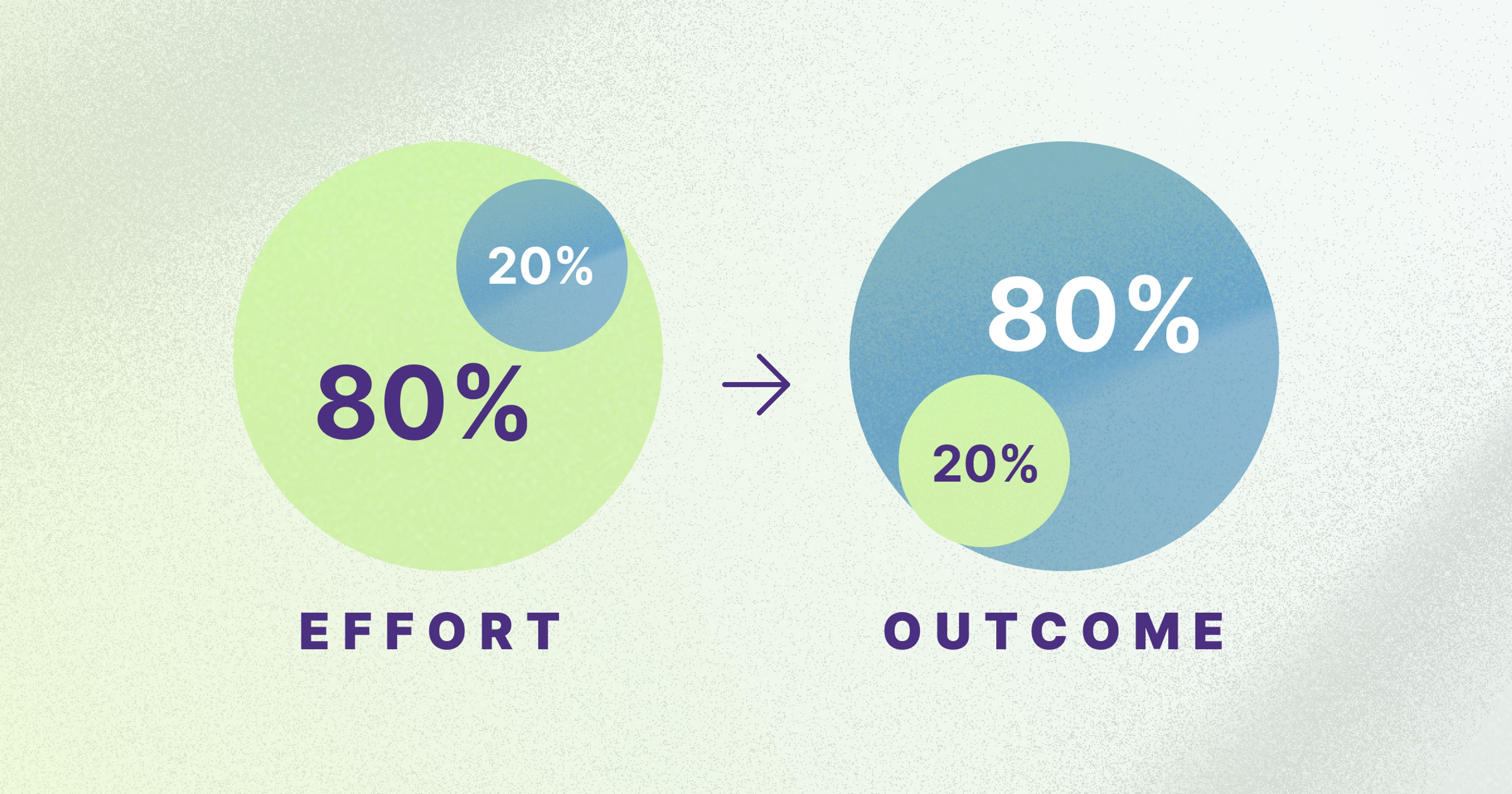 Cover of Pareto's principles