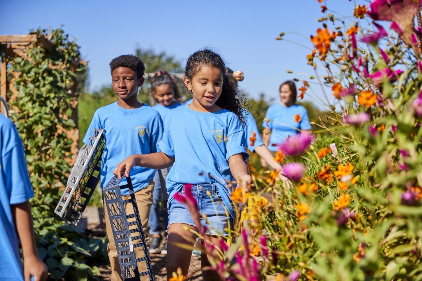 Cub Scouts participating in an outdoor activity