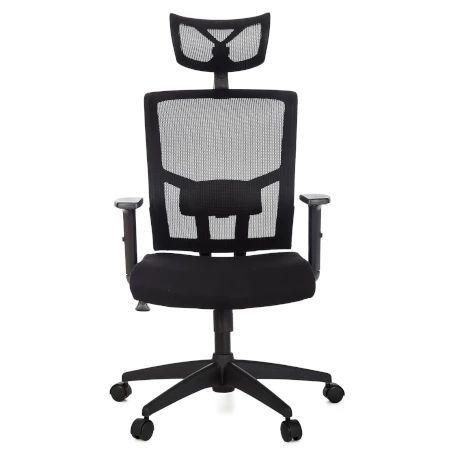 Cadeira Para Escritório Presidente Giratória Ergonômica ANM312 P