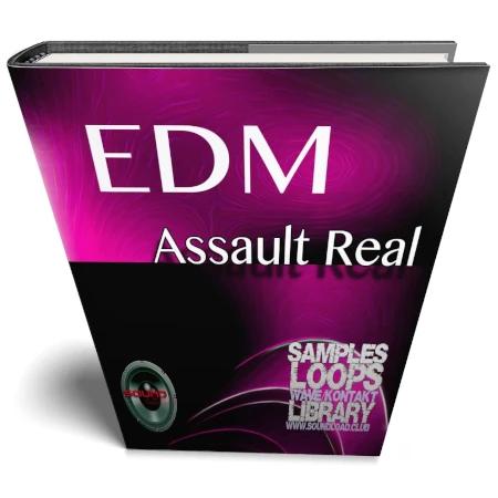 EDM ASSAULT Guru - Grande biblioteca de estúdio Essential 24bit WAVE