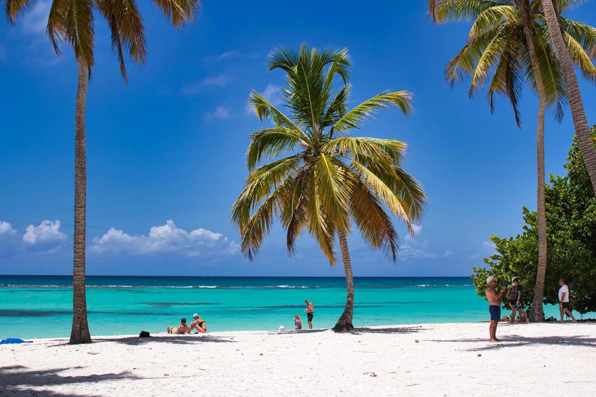 Louez une voiture à Bonaire